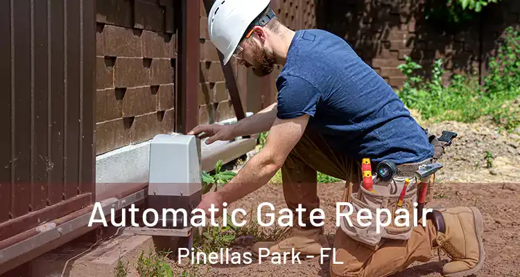  Automatic Gate Repair Pinellas Park - FL