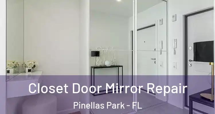  Closet Door Mirror Repair Pinellas Park - FL