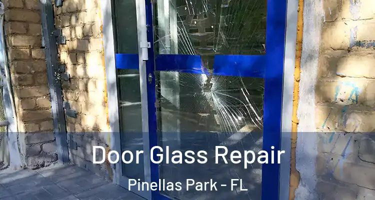  Door Glass Repair Pinellas Park - FL