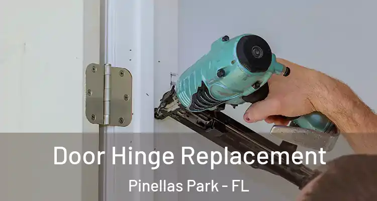  Door Hinge Replacement Pinellas Park - FL
