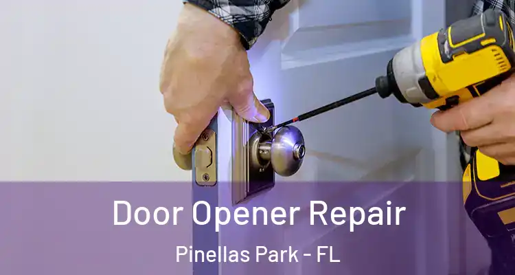  Door Opener Repair Pinellas Park - FL