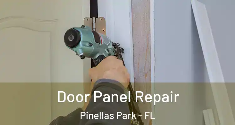  Door Panel Repair Pinellas Park - FL