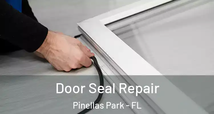  Door Seal Repair Pinellas Park - FL