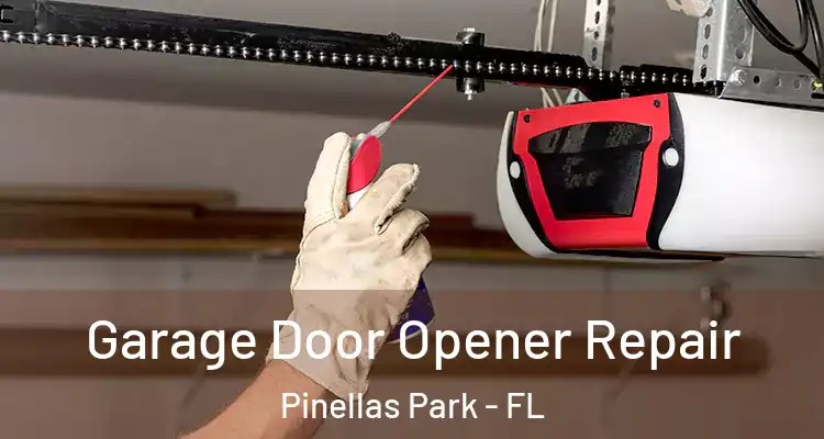  Garage Door Opener Repair Pinellas Park - FL