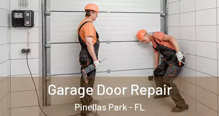  Garage Door Repair Pinellas Park - FL