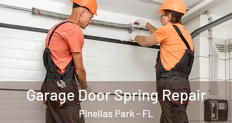  Garage Door Spring Repair Pinellas Park - FL