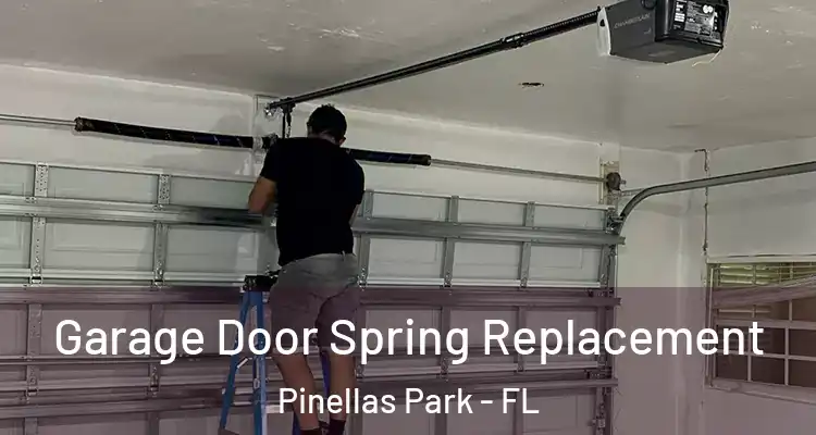  Garage Door Spring Replacement Pinellas Park - FL