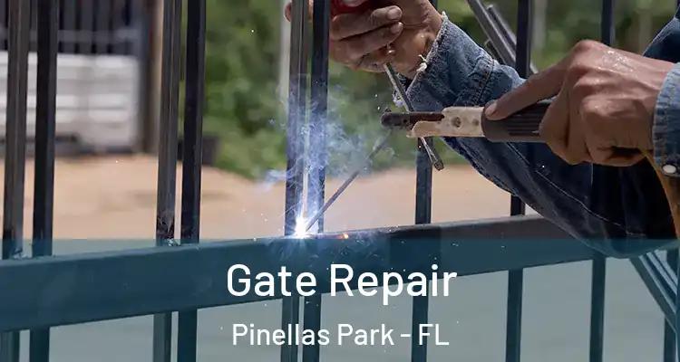 Gate Repair Pinellas Park - FL
