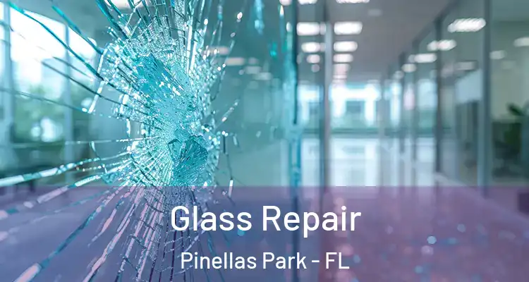  Glass Repair Pinellas Park - FL