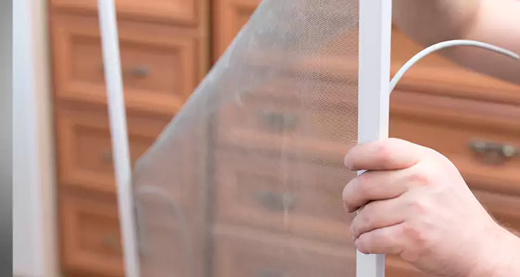 Privacy Mesh Screen Door Installation in Pinellas Park, FL