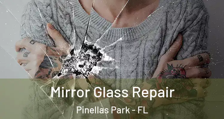  Mirror Glass Repair Pinellas Park - FL