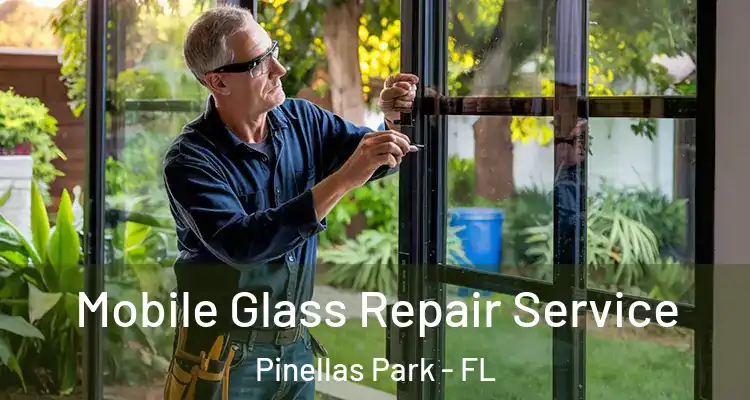  Mobile Glass Repair Service Pinellas Park - FL
