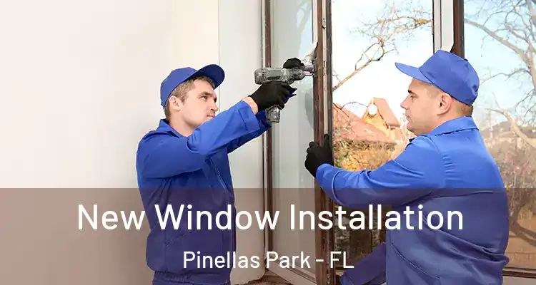  New Window Installation Pinellas Park - FL