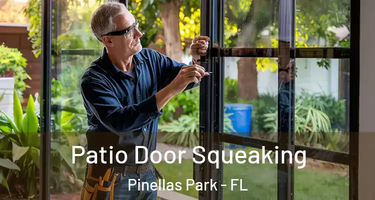 Patio Door Squeaking Pinellas Park - FL