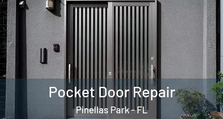  Pocket Door Repair Pinellas Park - FL