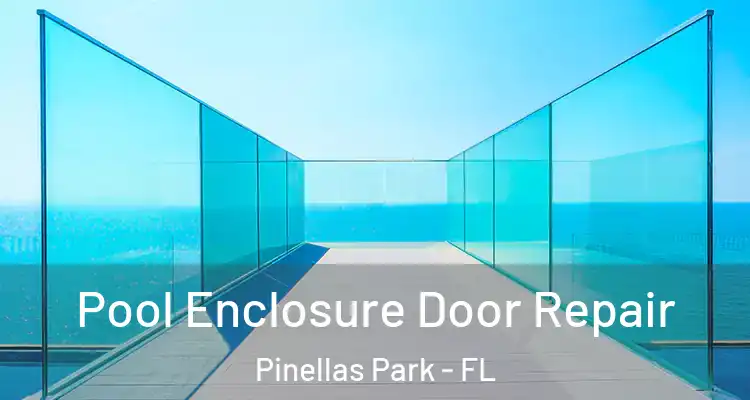  Pool Enclosure Door Repair Pinellas Park - FL