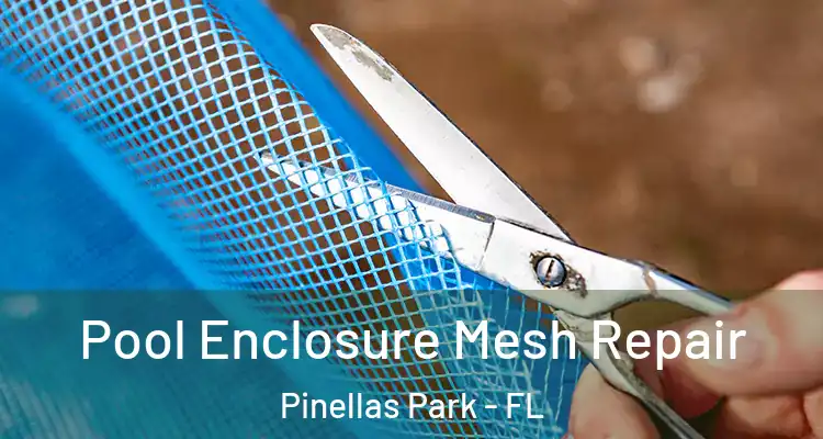  Pool Enclosure Mesh Repair Pinellas Park - FL