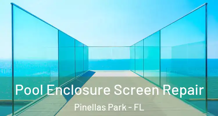  Pool Enclosure Screen Repair Pinellas Park - FL