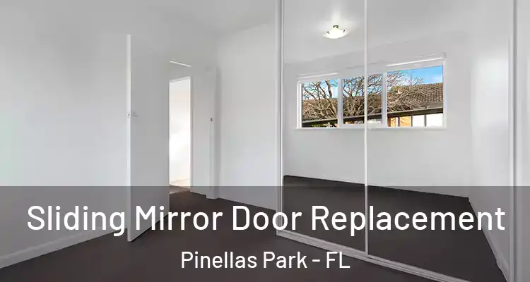 Sliding Mirror Door Replacement Pinellas Park - FL