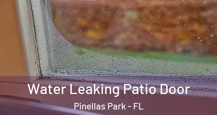  Water Leaking Patio Door Pinellas Park - FL