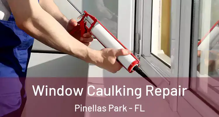  Window Caulking Repair Pinellas Park - FL