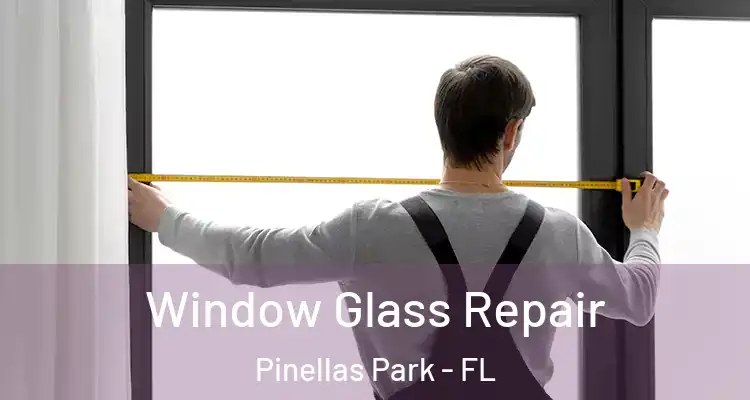  Window Glass Repair Pinellas Park - FL